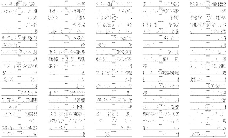 Figure 2—figure supplement 5.