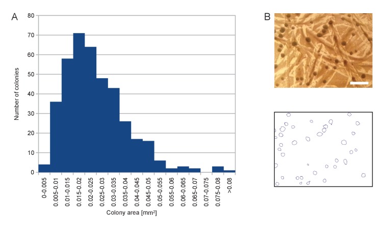 Figure 1—figure supplement 1.