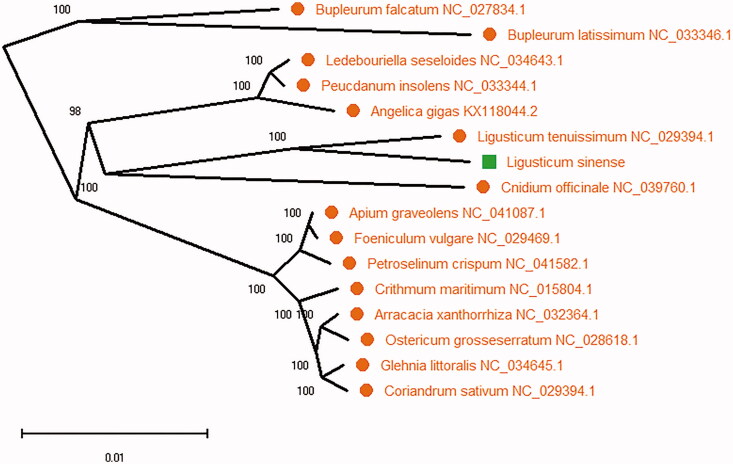 Figure 1.