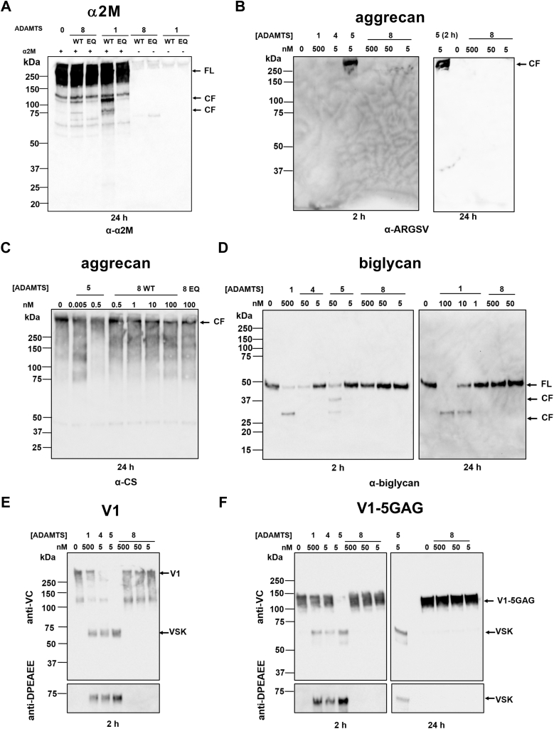 Figure 5