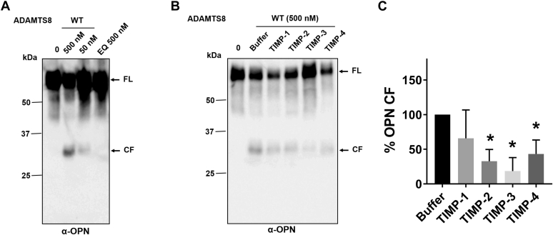 Figure 6