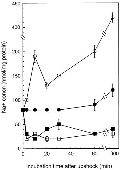FIG. 5