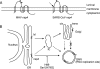 FIG. 9.