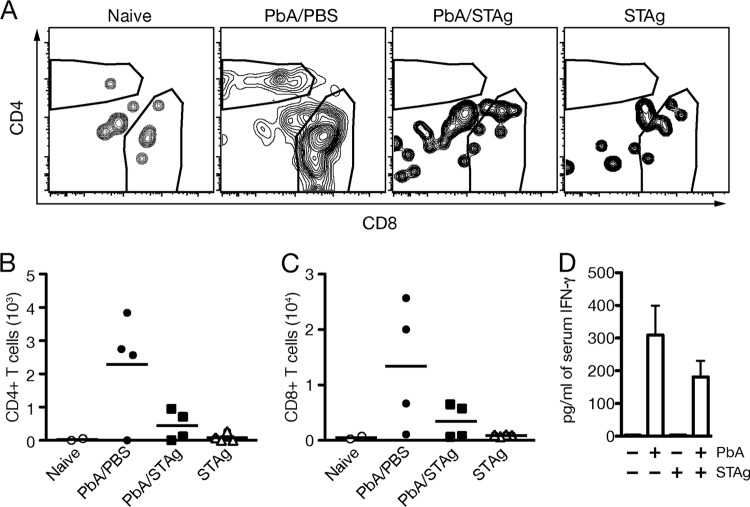 FIG 3