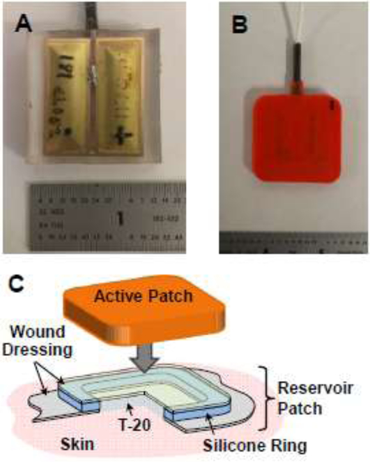 Figure 1.