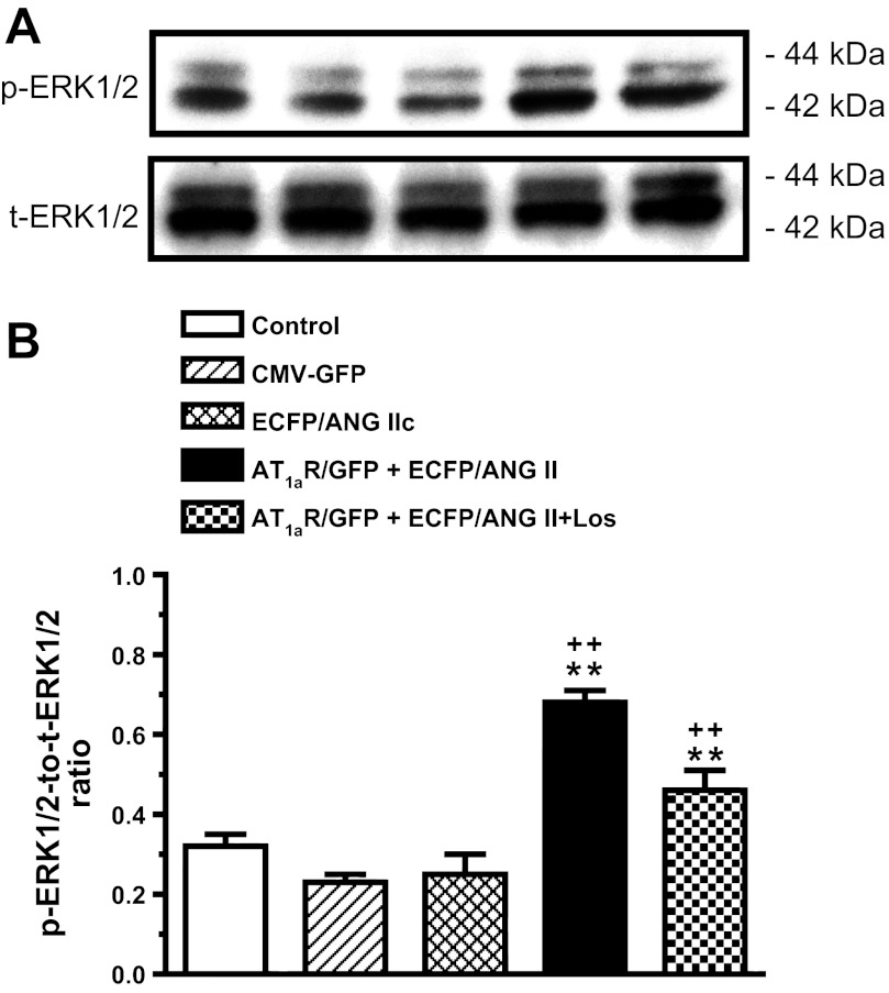 Fig. 10.