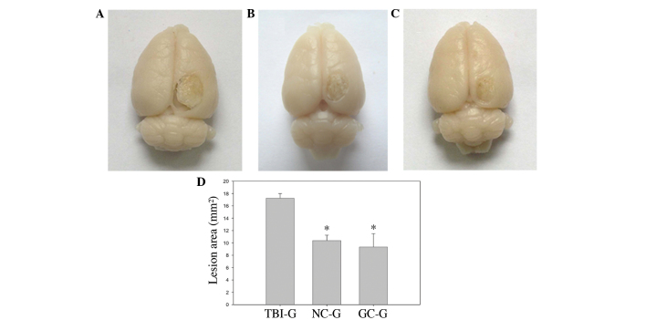 Figure 2.