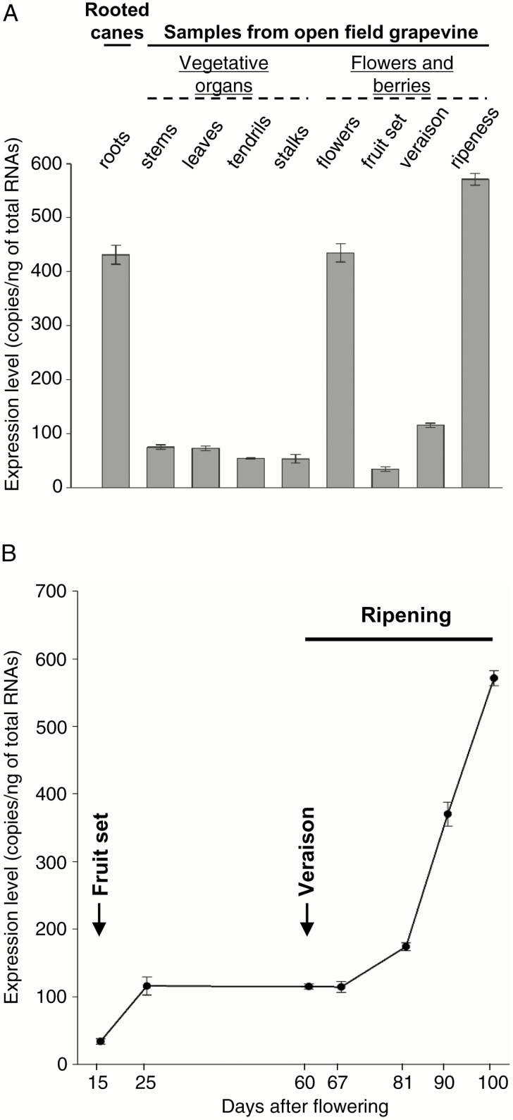 Fig 4.