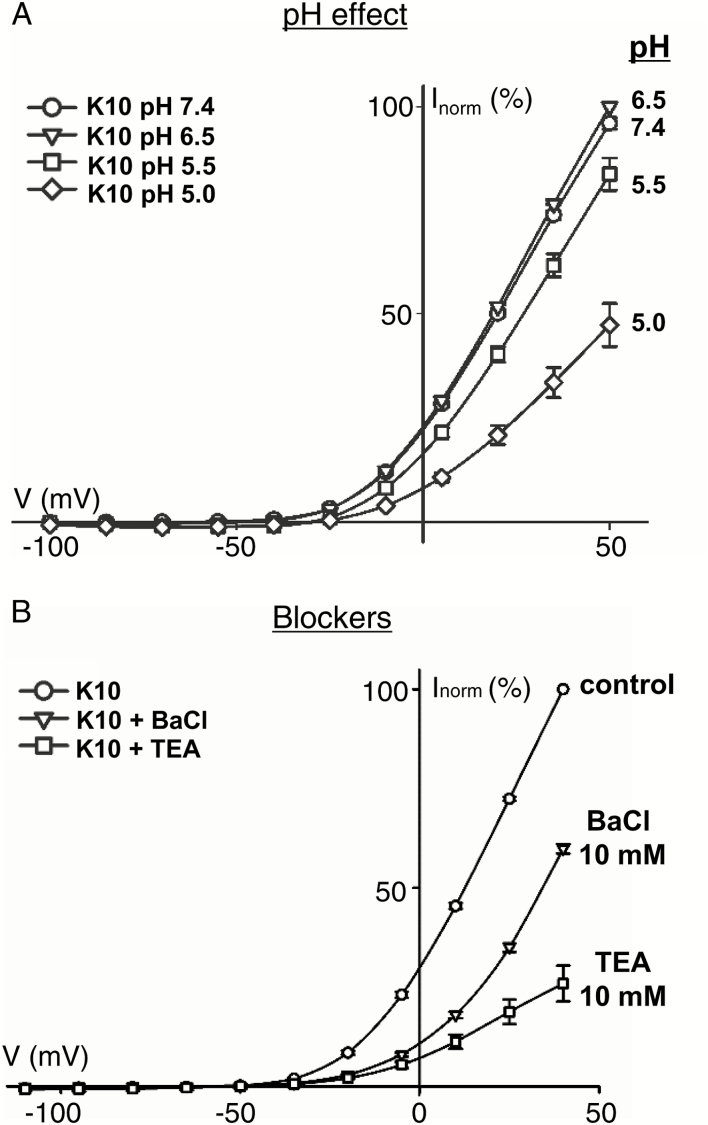 Fig 3.