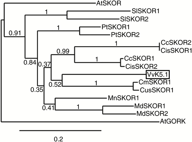 Fig 1.