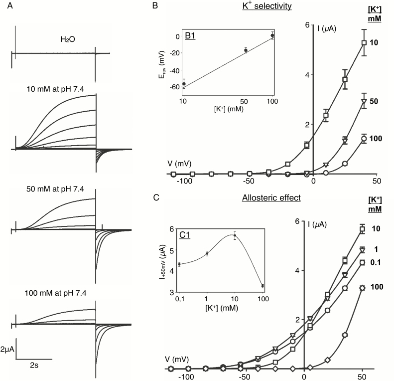 Fig 2.