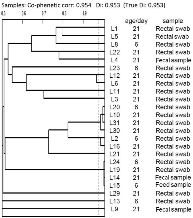 Fig. 1