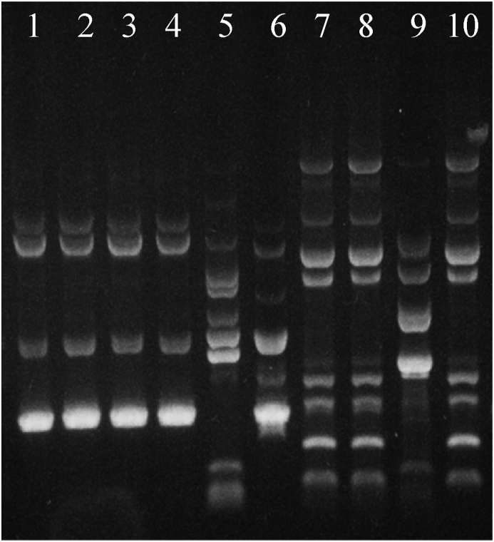 Fig. 2