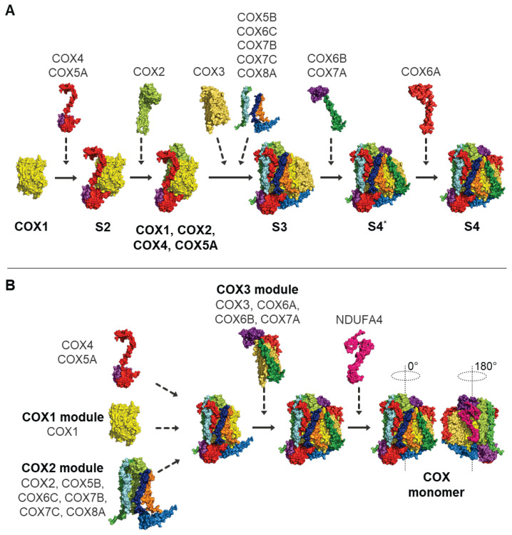 Fig. 2