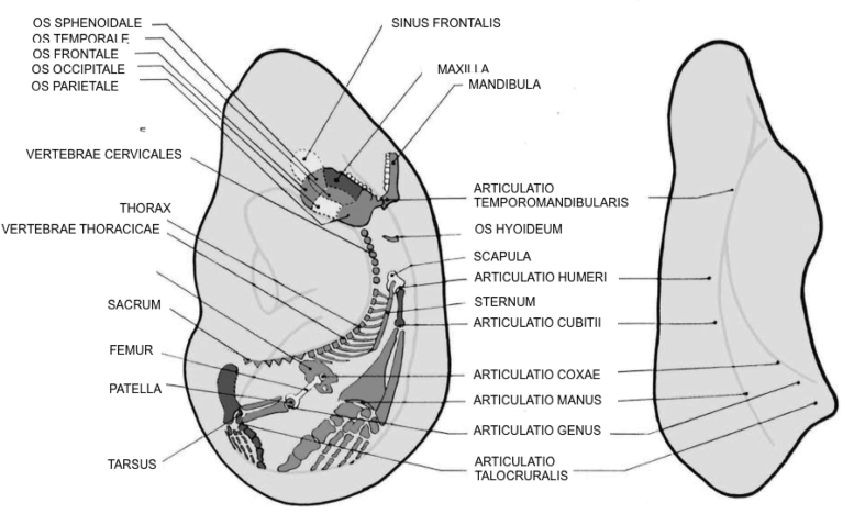 FIG. 8.