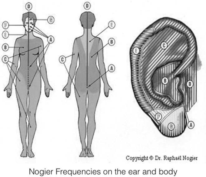 FIG. 12.