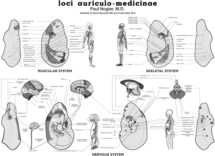 FIG. 7.