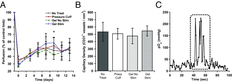 Fig. 5.