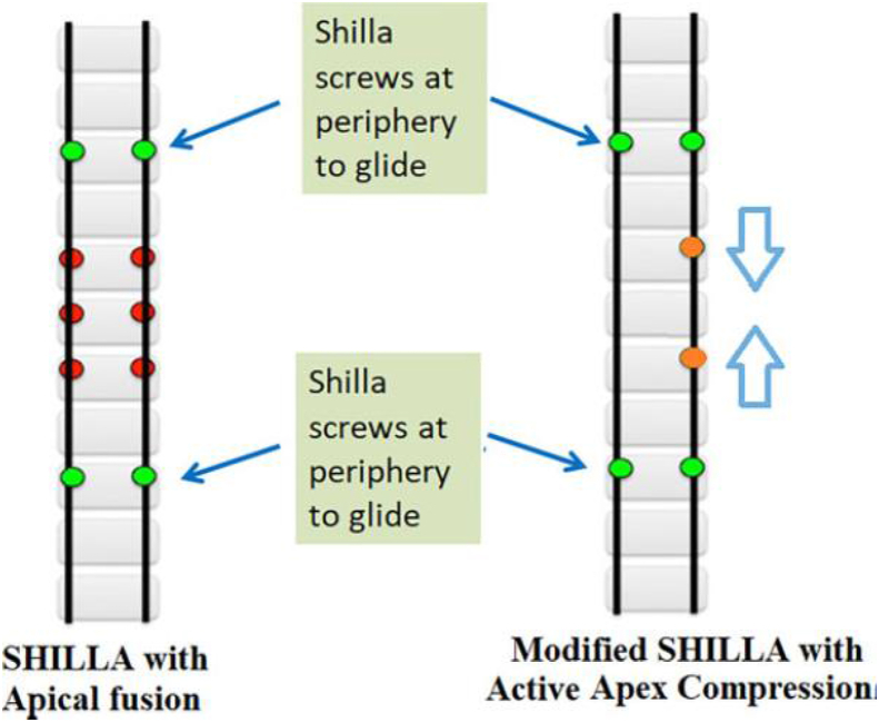 Fig. 8