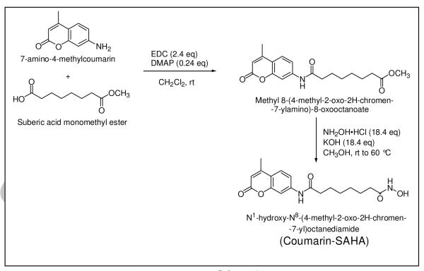 Scheme-1