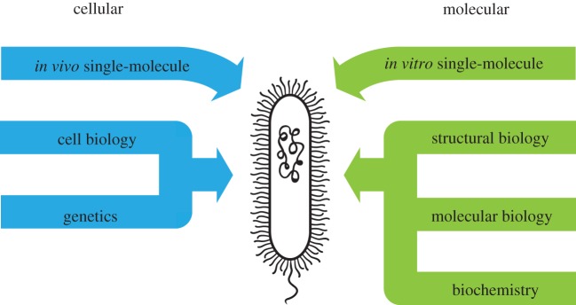 Figure 1.