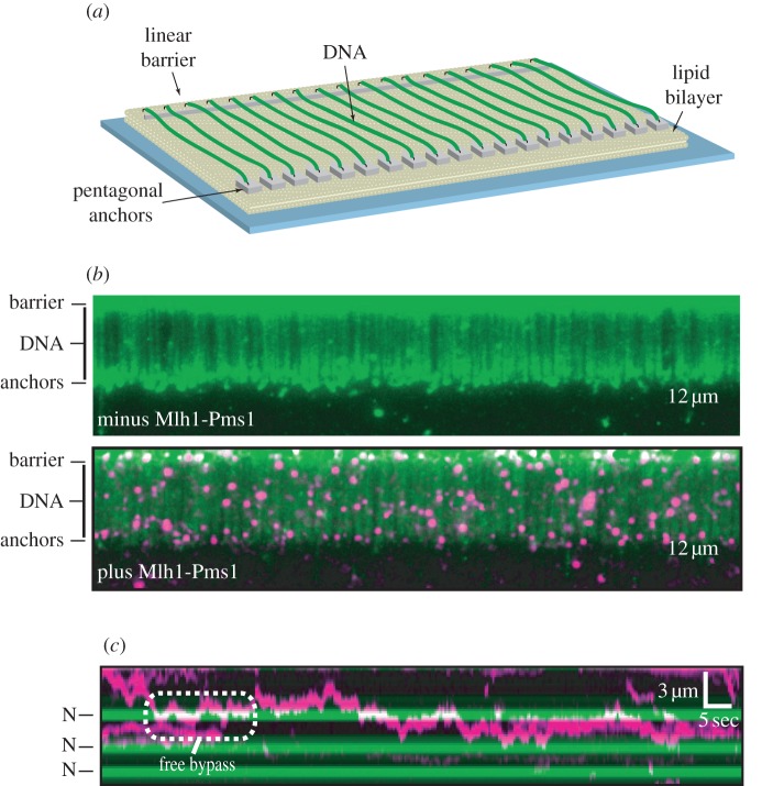 Figure 4.