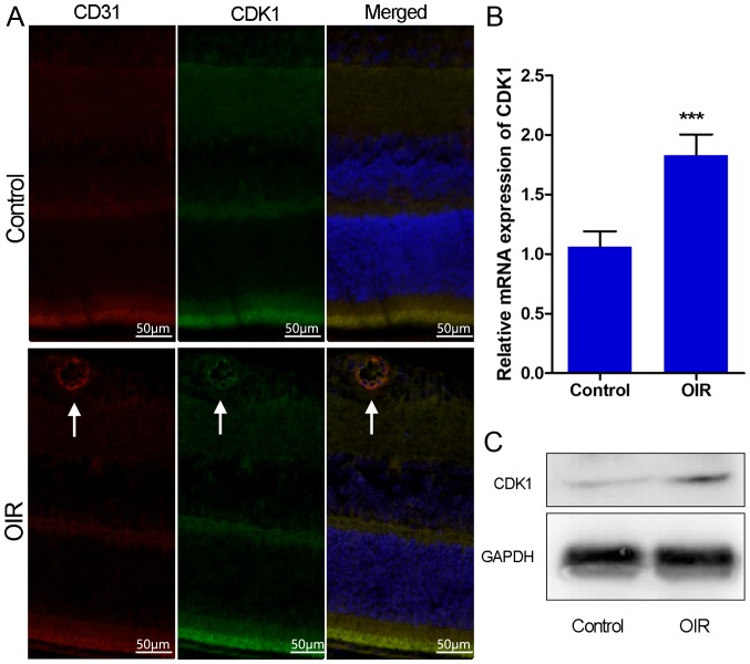 Figure 2.