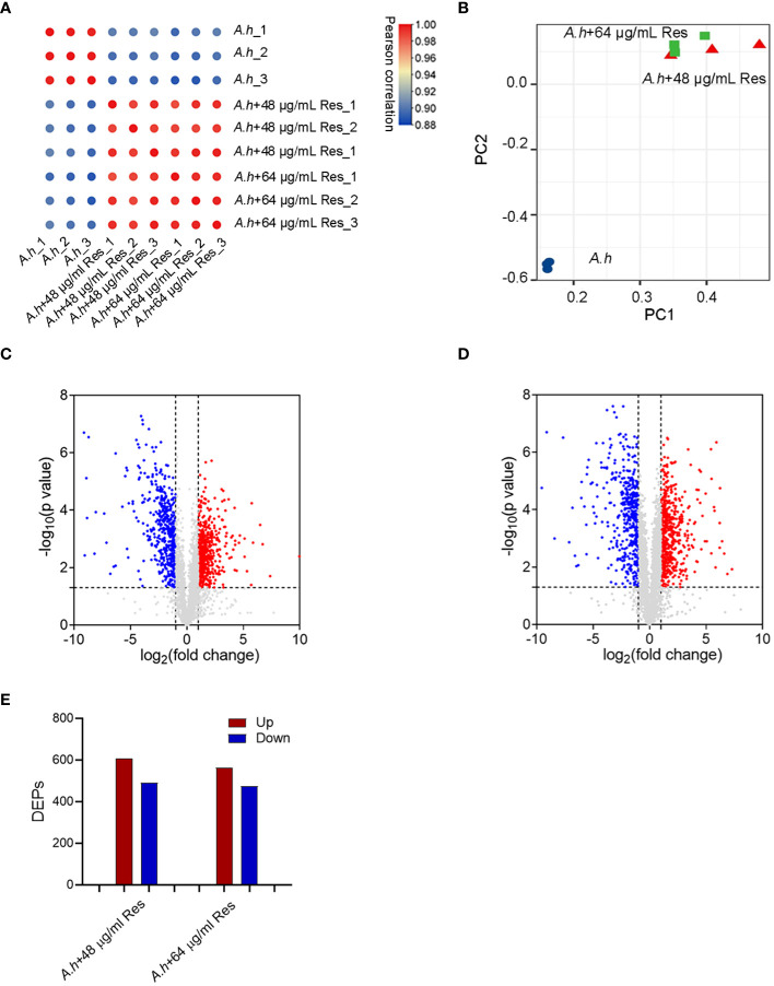 Figure 2