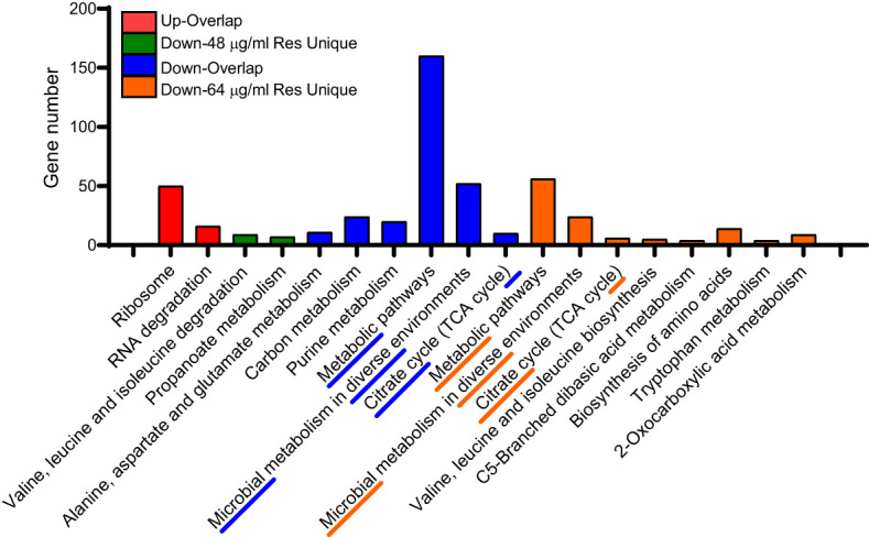 Figure 4