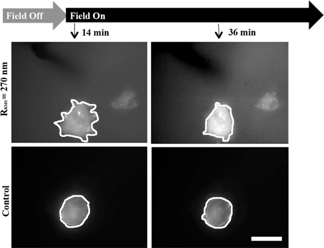 FIGURE 3