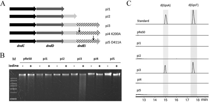 FIGURE 7.