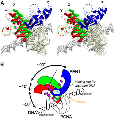 Figure 7