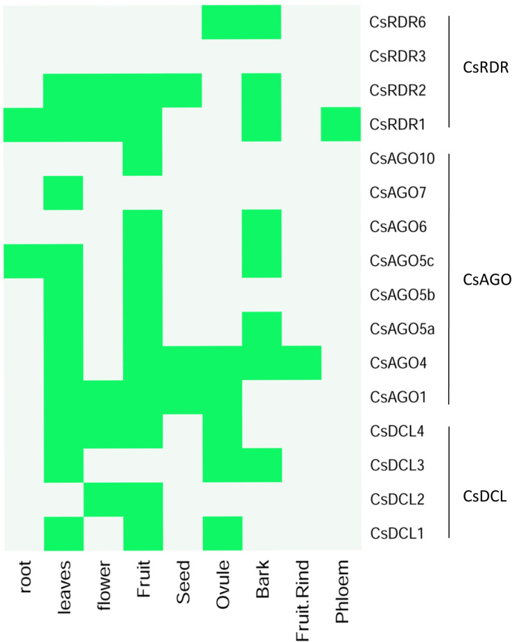 Fig 13