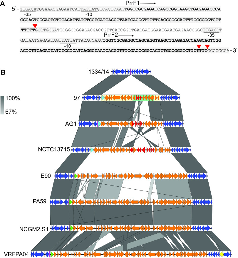 FIG 5