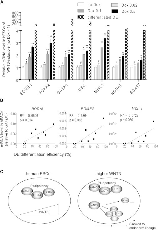 Figure 3