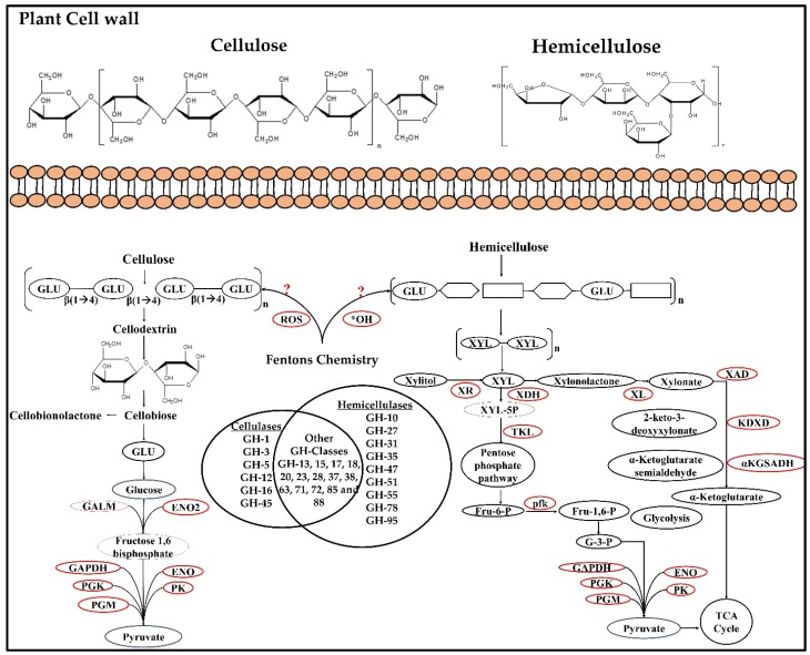 Figure 9