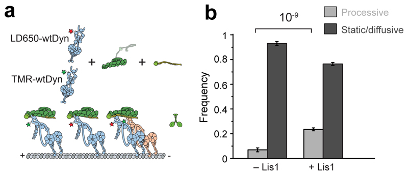 Extended Data Fig. 7