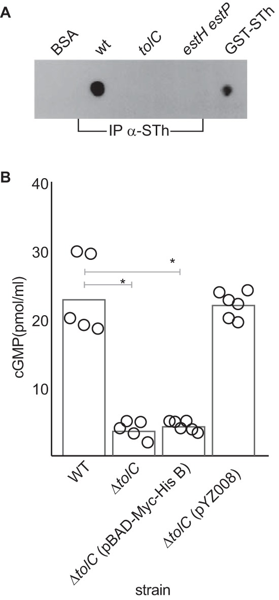 FIG 2