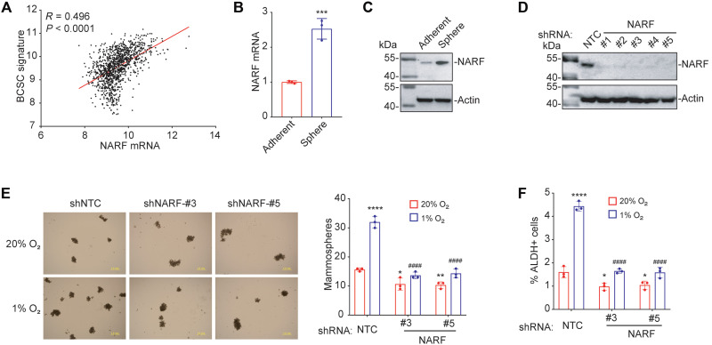 Fig. 3.