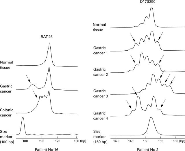 Figure 1  