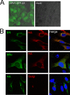 FIG 3