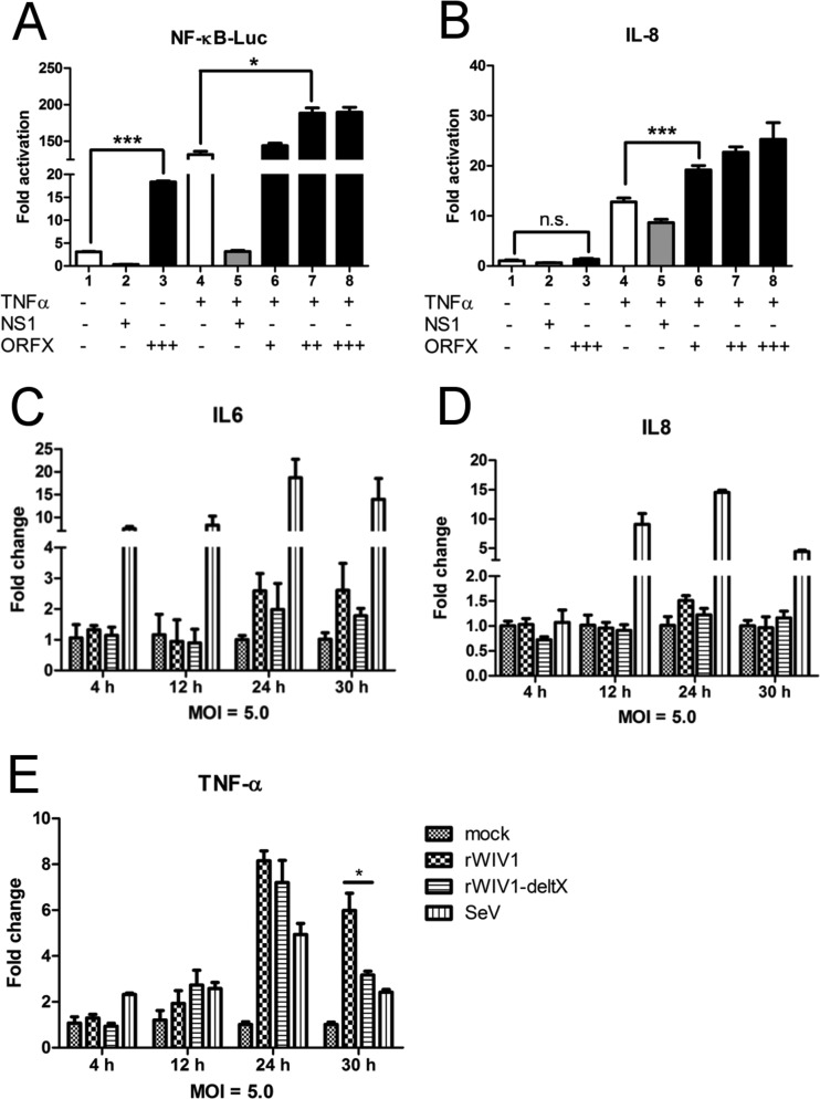 FIG 6