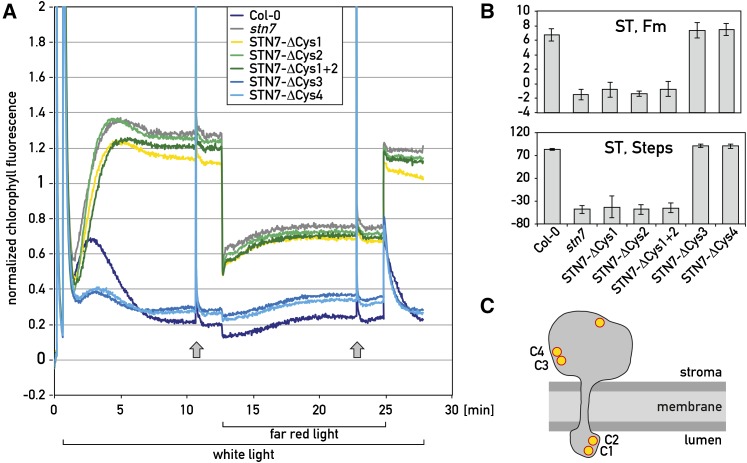 Figure 4.