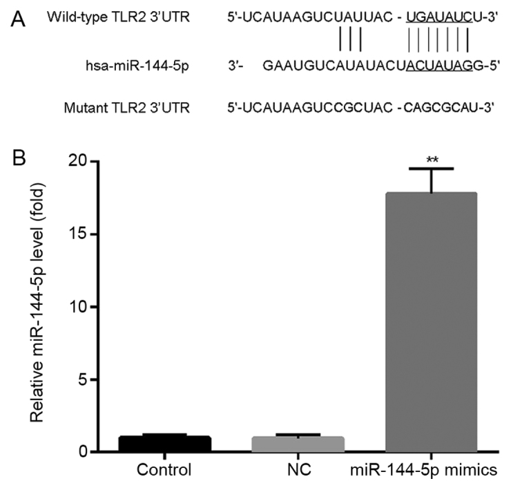 Figure 2.