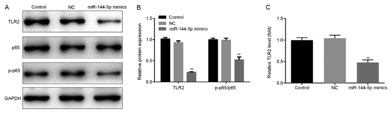 Figure 5.