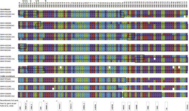 Figure 2