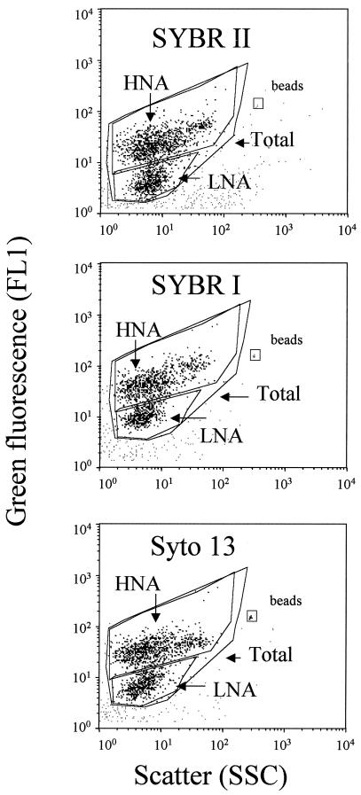 FIG. 1