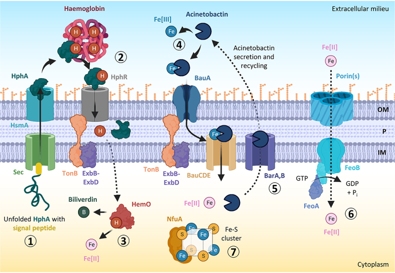 Figure 3.