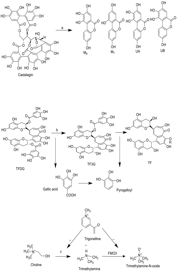 Fig. 2