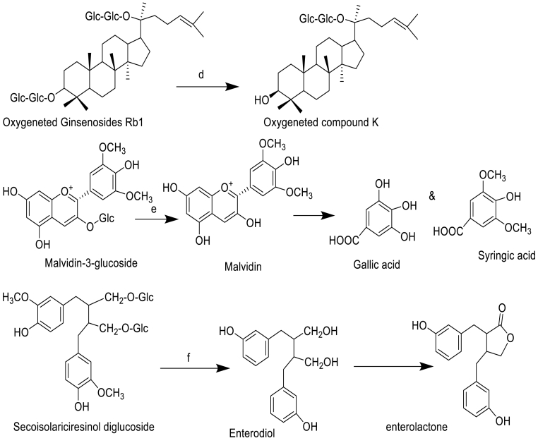 Fig. 2